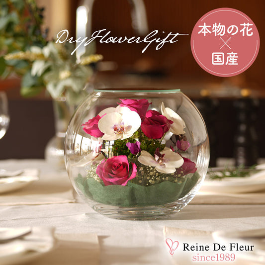 Elegant Bowl L(B-H)