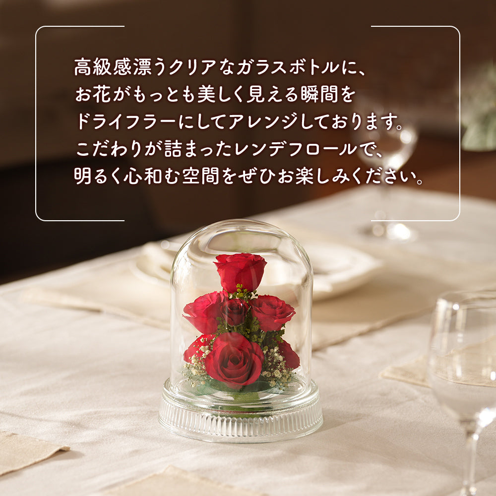 Passion Dome M(G-W)