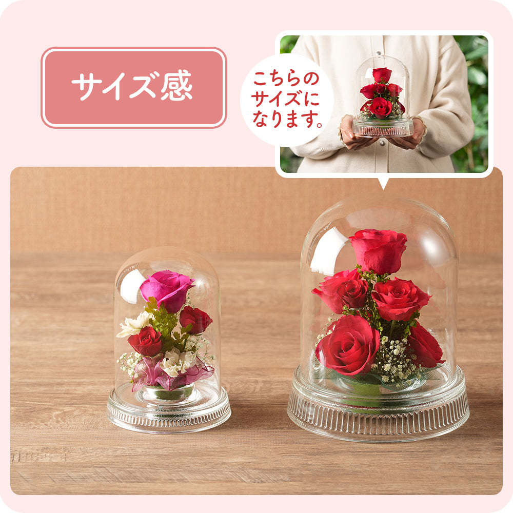 Passion Dome M(G-W)